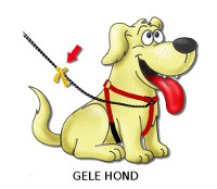Gele-Hond-Profiel